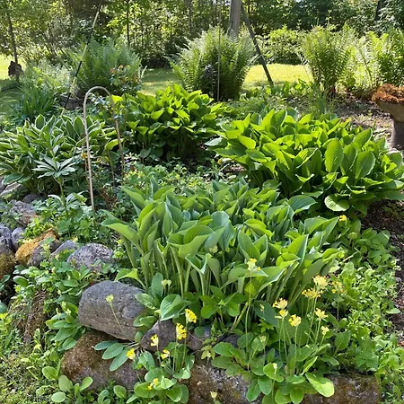 Three Cozy Cottages, Sauna And Hot Tub Lohja