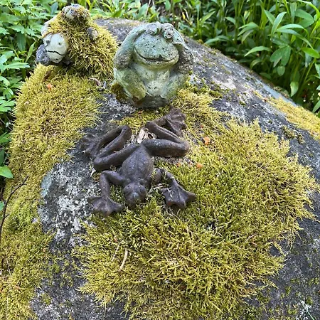 Three Cozy Cottages, Sauna And Hot Tub Chalet Lohja