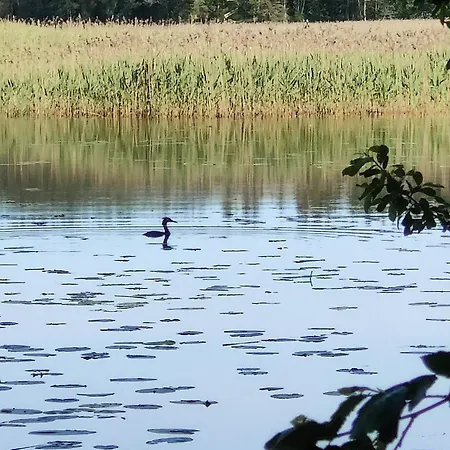 Three Cozy Cottages, Sauna And Hot Tub Lohja