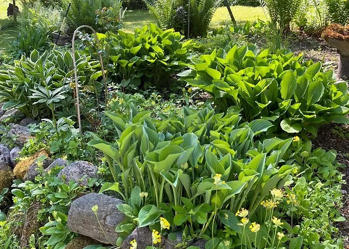 Three Cozy Cottages, Sauna And Hot Tub Lohja