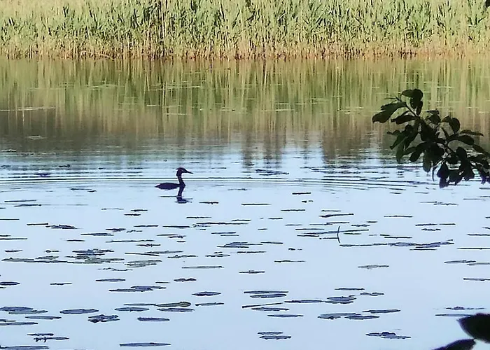 Three Cozy Cottages, Sauna And Hot Tub * Lohja