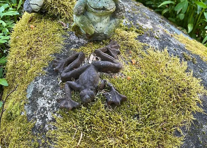 Three Cozy Cottages, Sauna And Hot Tub בקתה Lohja