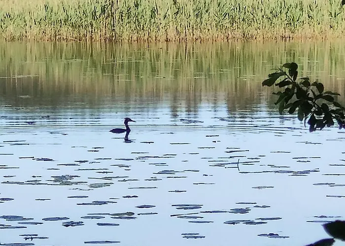 Three Cozy Cottages, Sauna And Hot Tub Lohja